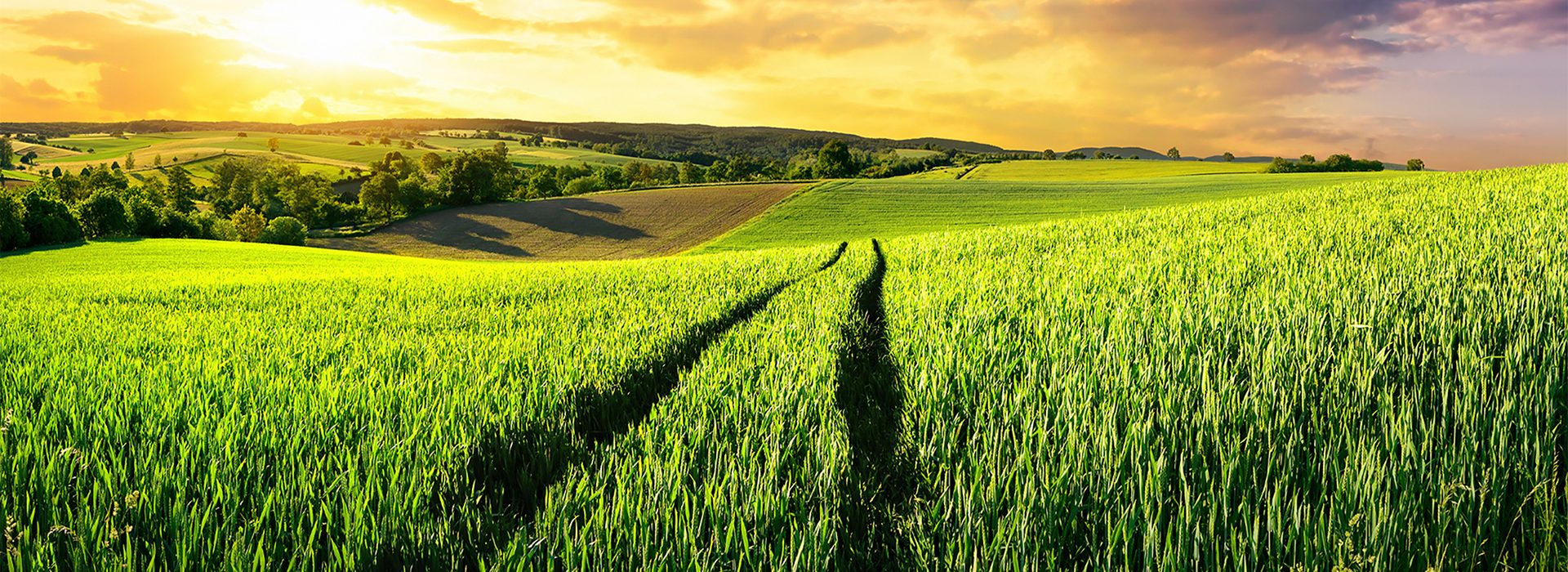 Header_Raiffeisen_Vital