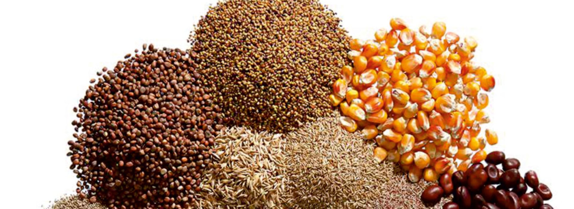 Broschüre Hellweg Ausbildungsmesse.cdr